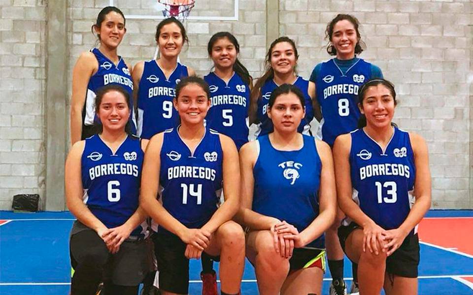Loyalty organiza nuevos torneos de baloncesto - El Sol de León | Noticias  Locales, Policiacas, sobre México, Guanajuato y el Mundo