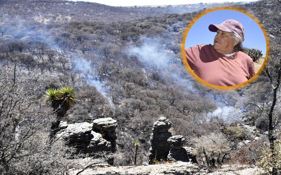 Habitantes de “El Zorrillo” viven con miedo incendio en Sierra de Lobos -  Noticias Vespertinas | Noticias Locales, Policiacas, sobre México,  Guanajuato y el Mundo